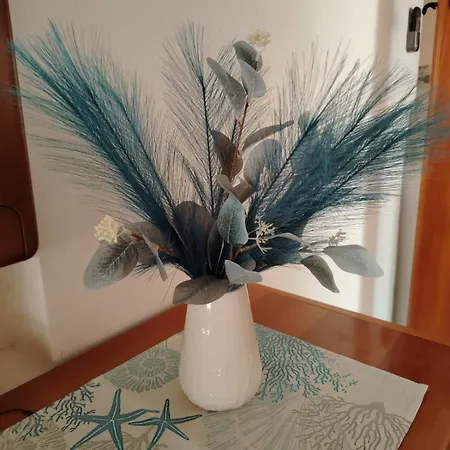 La Conchiglia Azzurra By Affitti Brevi Appartamento *